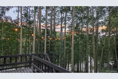 288 Roberts Road, Alma, CO 80420 - Photo 2