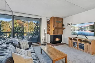 455 Village Rd, Breckenridge, CO 80424 - Photo 10