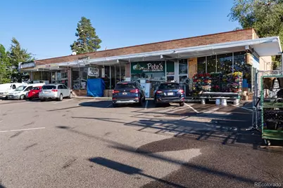 215 Ivanhoe Street, Denver, CO 80220 - Photo 44
