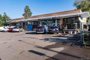215 Ivanhoe St, Denver, CO 80220 - Photo 44