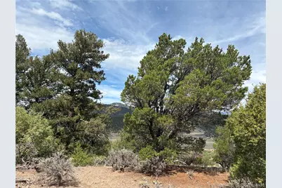Lot 4546 Beekman Road, Fort Garland, CO 81133 - Photo 14