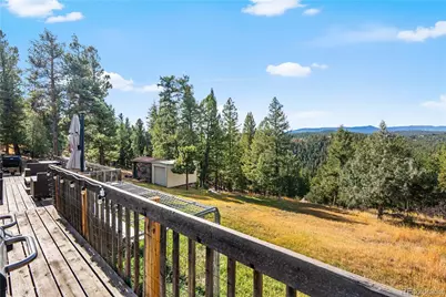 243 Hi Meadow Drive, Bailey, CO 80421 - Photo 28