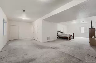 19034 Burlington Pl, Denver, CO 80249 - Photo 40
