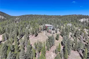 28154 Belle Mont Trail, Conifer, CO 80433 - Photo 48