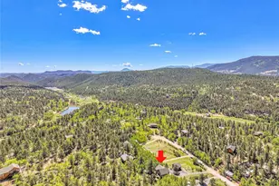 125 El Lobo Ln, Bailey, CO 80421 - Photo 28