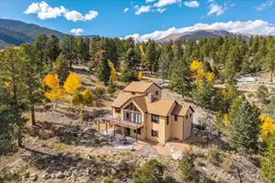 30009 Creek Run, Buena Vista, CO 81211 - Photo 46