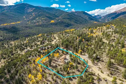 30009 Creek Run, Buena Vista, CO 81211 - Photo 50