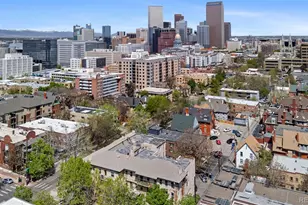 1100 N Logan Street, Denver, CO 80203 - Photo 24