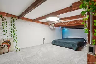 610 N Logan Street, Denver, CO 80203 - Photo 20