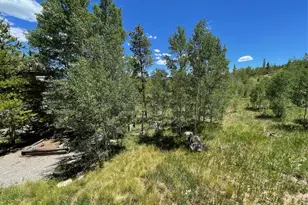 41 Poplar Cir, Silverthorne, CO 80498 - Photo 46