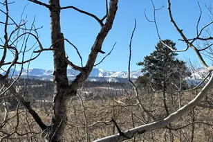 29 Strelets Way, Como, CO 80432 - Photo 1