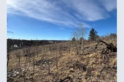 29 Strelets Way, Como, CO 80432 - Photo 16