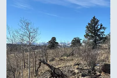 29 Strelets Way, Como, CO 80432 - Photo 4