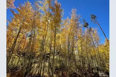 1384 Cr-642, Grand Lake, CO 80447 - Photo 4