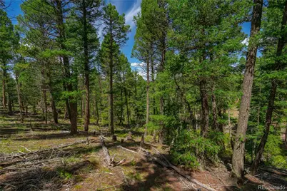 384 Insmont Lane, Florissant, CO 80816 - Photo 2