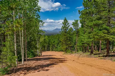 384 Insmont Lane, Florissant, CO 80816 - Photo 10