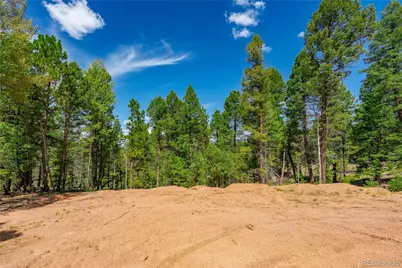 384 Insmont Lane, Florissant, CO 80816 - Photo 22