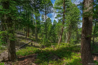384 Insmont Lane, Florissant, CO 80816 - Photo 14
