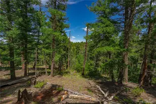 384 Insmont Ln, Florissant, CO 80816 - Photo 1