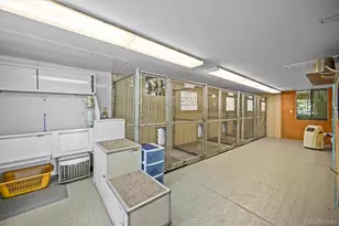 1335 S Kio St, Watkins, CO 80137 - Photo 22