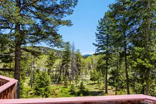 19653 Silver Ranch Rd, Conifer, CO 80433 - Photo 28