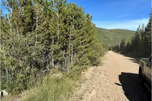 343 Aspen Rd, Idaho Springs, CO 80452 - Photo 1