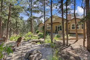 15545 Pole Pine Point, Colorado Springs, CO 80908 - Photo 40