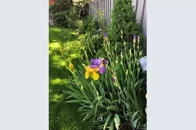 12652 S Silver Creek Court, Parker, CO 80134 - Photo 30