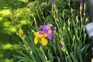 12652 S Silver Creek Ct, Parker, CO 80134 - Photo 30