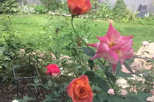 12652 S Silver Creek Ct, Parker, CO 80134 - Photo 28