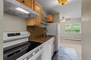 301 N French St, Breckenridge, CO 80424 - Photo 18