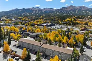 301 N French St, Breckenridge, CO 80424 - Photo 36