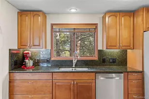 1995 Mockingbird Trail, Bailey, CO 80421 - Photo 8