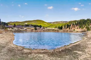 1328 Clark Rd, Bailey, CO 80421 - Photo 42