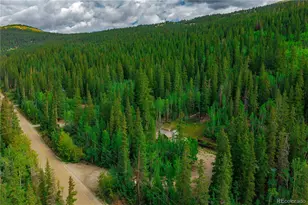 420 Nuthatch Dr, Alma, CO 80420 - Photo 46