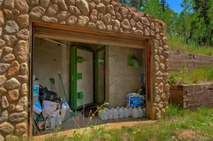 420 Nuthatch Dr, Alma, CO 80420 - Photo 4