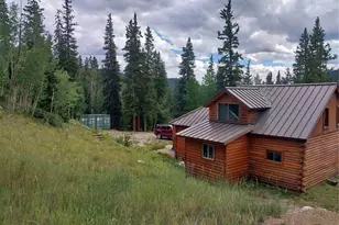 420 Nuthatch Dr, Alma, CO 80420 - Photo 44