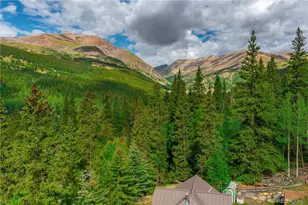 420 Nuthatch Dr, Alma, CO 80420 - Photo 2