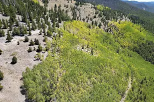 840 Forest Service Rd 890, White Pine, CO 81248 - Photo 40