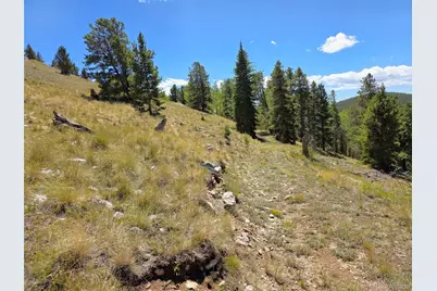 840 Forest Service Road 890, White Pine, CO 81248 - Photo 14