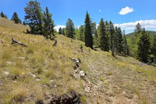 840 Forest Service Rd 890, White Pine, CO 81248 - Photo 14