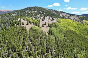 840 Forest Service Rd 890, White Pine, CO 81248 - Photo 4