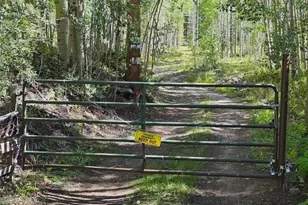 840 Forest Service Rd 890, White Pine, CO 81248 - Photo 42