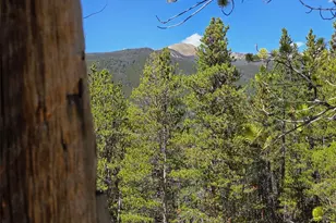 840 Forest Service Rd 890, White Pine, CO 81248 - Photo 24