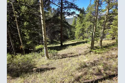 840 Forest Service Road 890, White Pine, CO 81248 - Photo 22