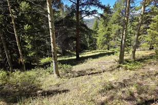 840 Forest Service Rd 890, White Pine, CO 81248 - Photo 22