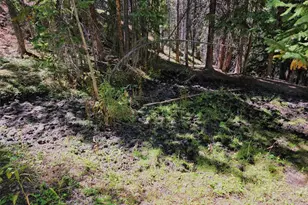 840 Forest Service Rd 890, White Pine, CO 81248 - Photo 20
