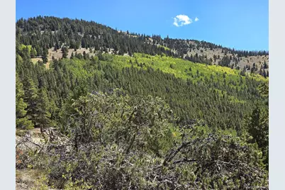 840 Forest Service Road 890, White Pine, CO 81248 - Photo 10