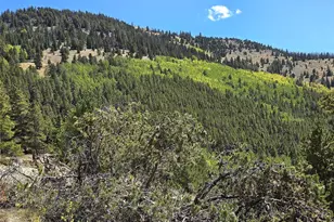 840 Forest Service Rd 890, White Pine, CO 81248 - Photo 10
