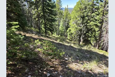 840 Forest Service Road 890, White Pine, CO 81248 - Photo 16